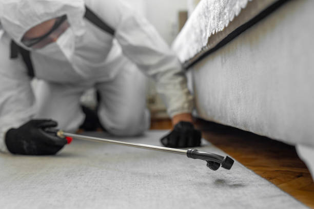 Professional Ant Control technician working in Castle Pines Village, CO
