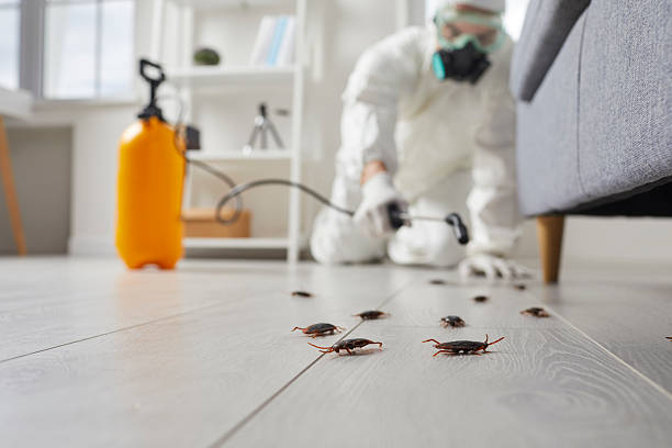 Trusted Fumigation Services service in Castle Pines Village, CO - Nex Pest Control