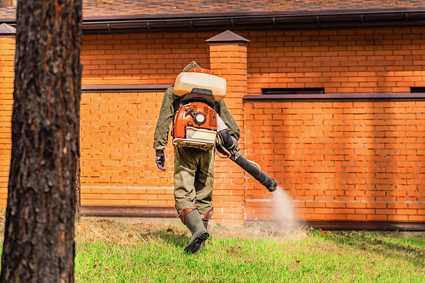 Trusted Mosquito Control service in Castle Pines Village, CO - Nex Pest Control